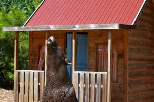 carrick hill 2014 (7)